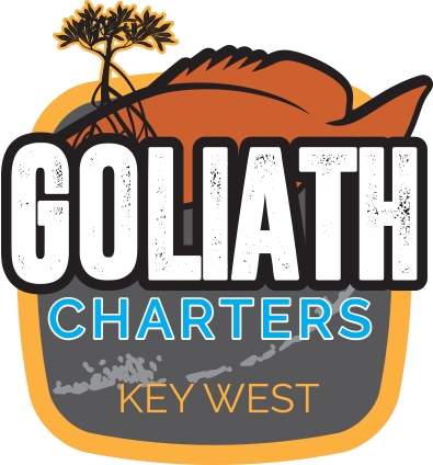 Goliath Charters official logo
