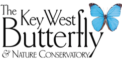 Key West Butterfly & Nature Conservatory official logo