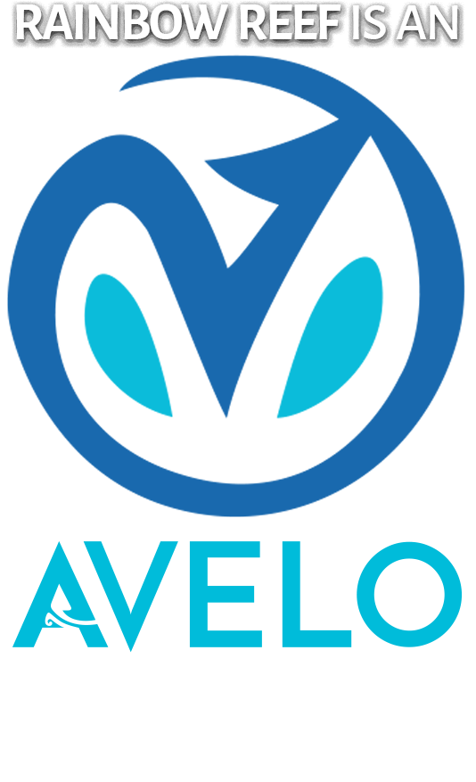 Rainbow Reef Dive Center official logo