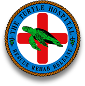 The Turtle Hospital official logo
