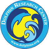 Dolphin Research Center official logo